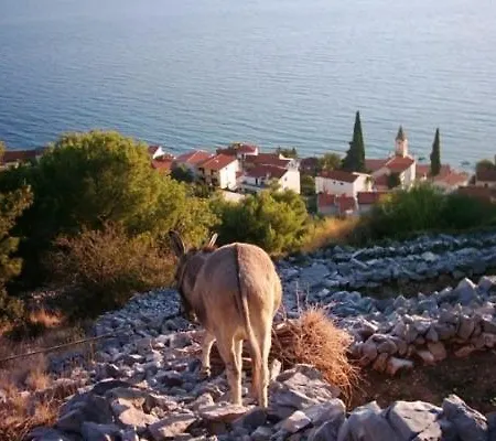 Appartement In With Seaview, Terrace, Air Condition, Wifi Brist